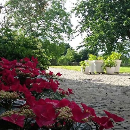 Country House Clos Des Hortensias Blegny 외부 사진