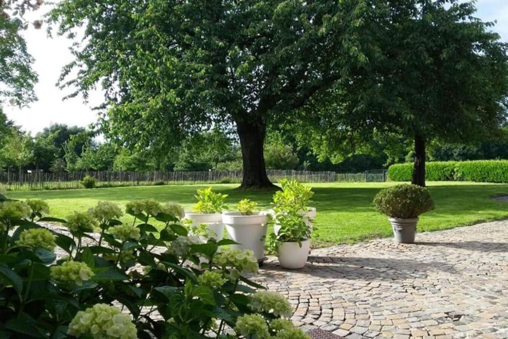 Country House Clos Des Hortensias Blegny 외부 사진